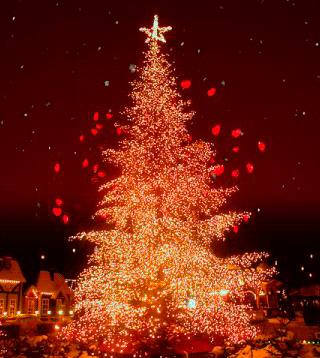 青岛方特圣诞节夜场,青岛方特圣诞节去还是跨年夜去