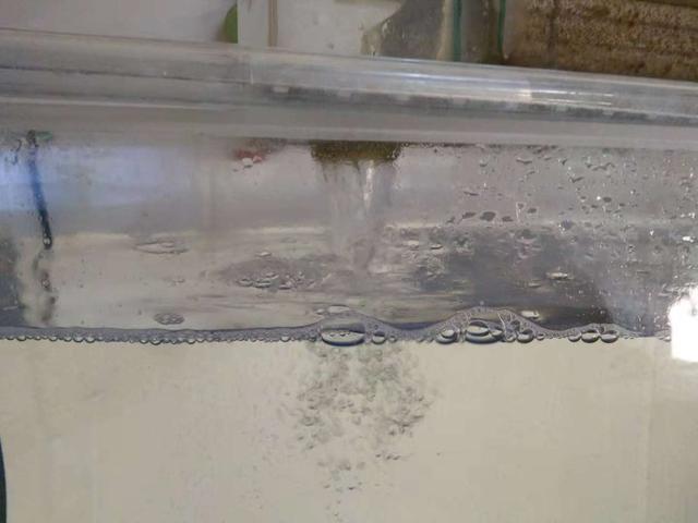 一个一米二的鱼缸需要多少滤材,1米8底滤鱼缸日常打理