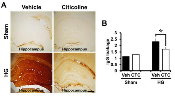 糖尿病病人发生低血糖时能吃糖吗,磷酸胞磷胆碱治疗糖尿病并发症