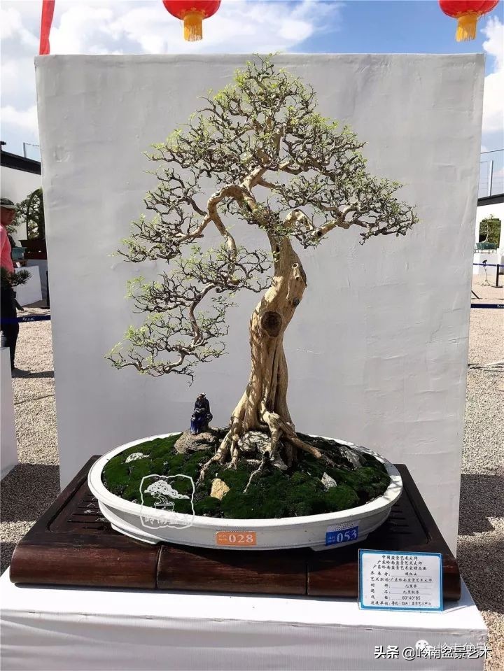 骞哥涔呬箙鐢滅敎铚滆湝,骞哥涔呬箙