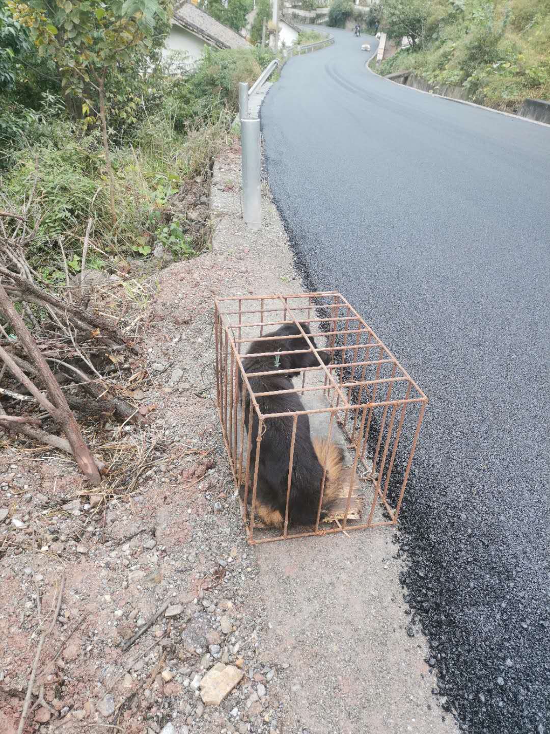 鬼哥的五万里D73*藏西**本纪三(甘洛县-越西县)