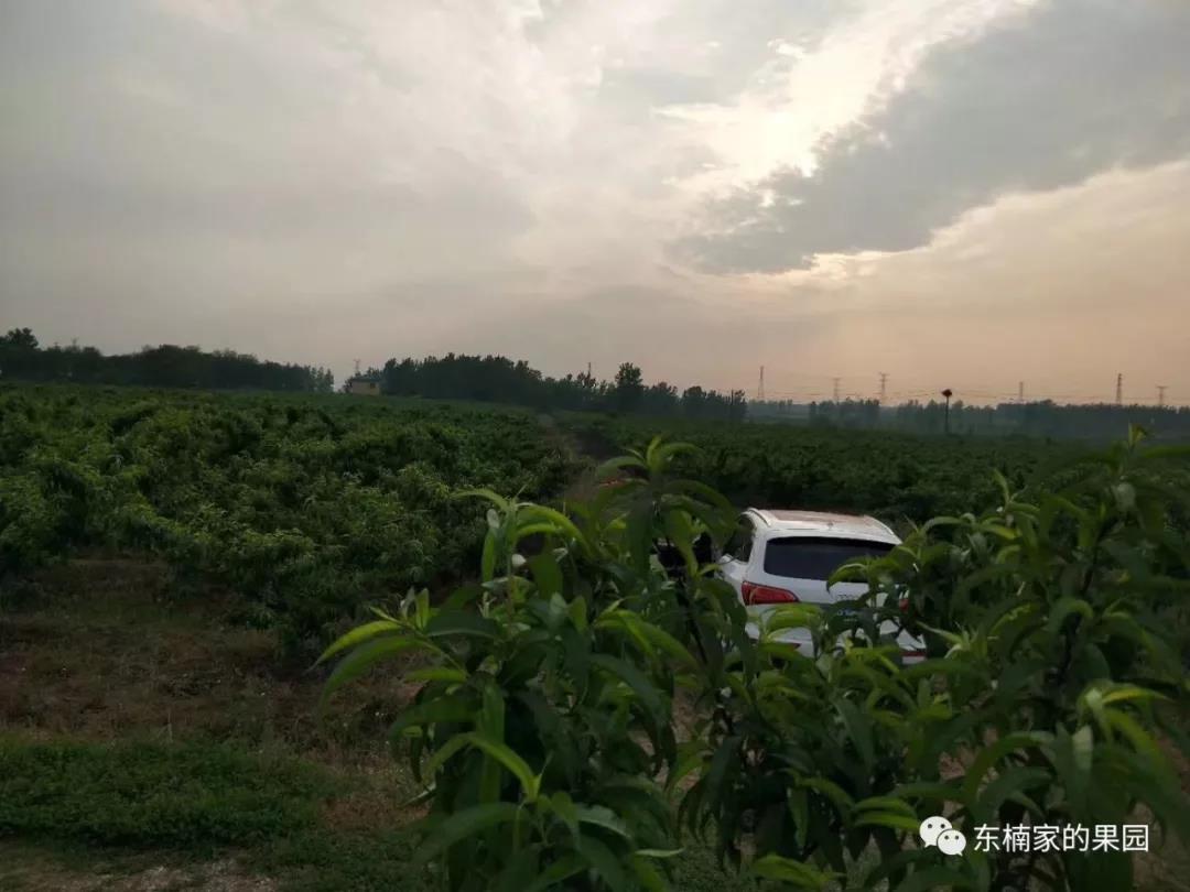 合肥休闲农庄排行榜前十名,合肥农庄转让或出租