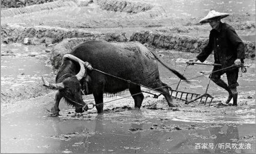 閬ヨ繙鐨勪埂鎰佸畬鏁寸増,琚北閲岀殑铓傝煡鍙簡