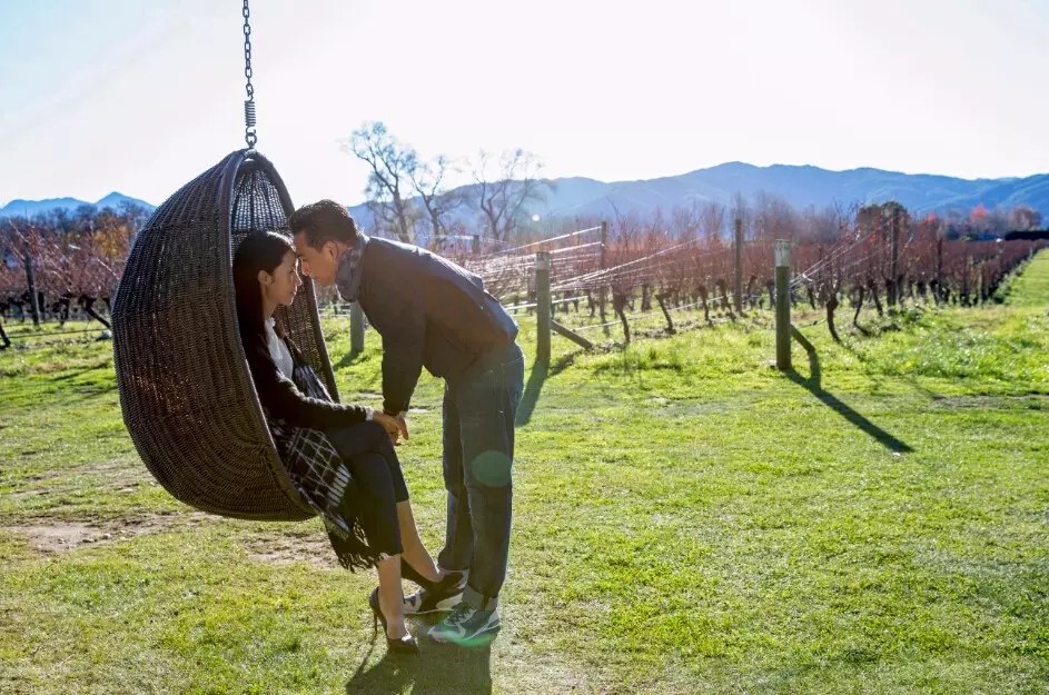 肥胖摆拍不专业，被编剧六六*制抵**，黄磊为何坚定地做“黄小厨”？