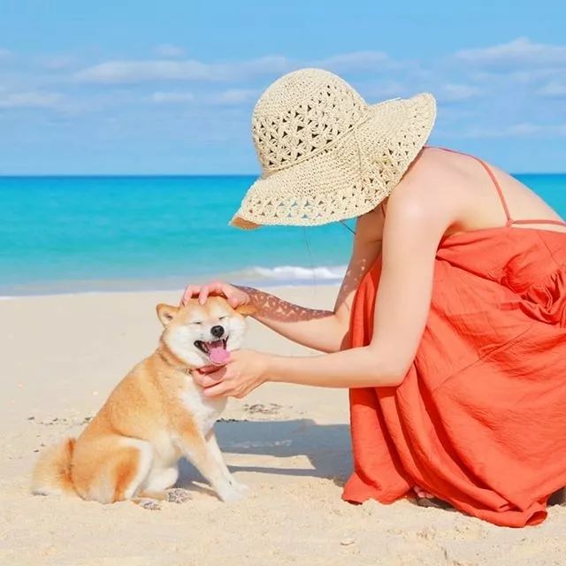 比人还会拍照的狗,简直萌炸朋友圈了