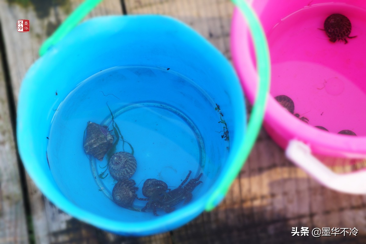 威海5月游记,威海最美一日游