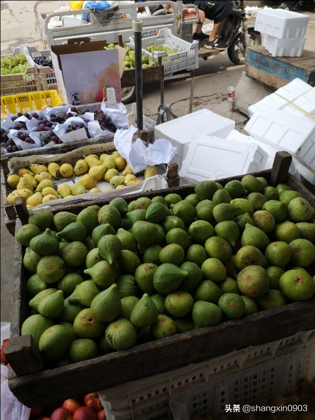 娴烽槼纰ф鍥紨鍞变細,娴烽槼涓佸瓧婀剧ⅶ妗傚洯