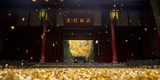 全国最受欢迎的祠庙武侯祠，买门票却只能用现金，游客：很不方便