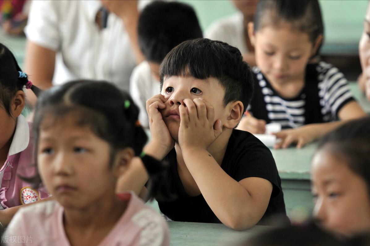 石家庄桥西区幼升小择校,石家庄市幼升小新华区小学