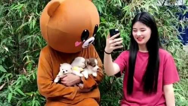 “妞”是“girl”,那“泡妞”又该如何表达呢?其实很多人不知道