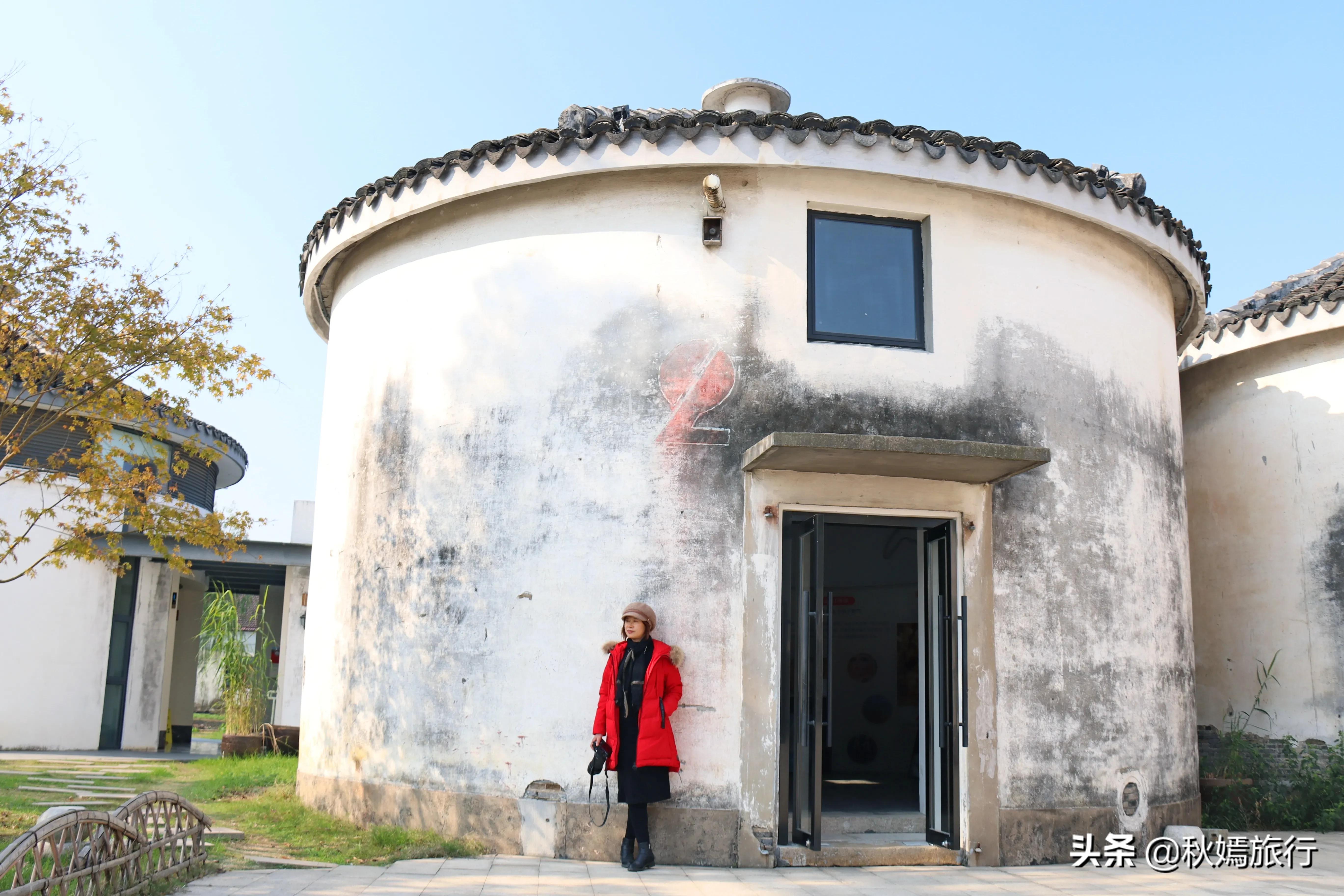 相城区北桥镇千年银杏树,苏州相城银杏打卡