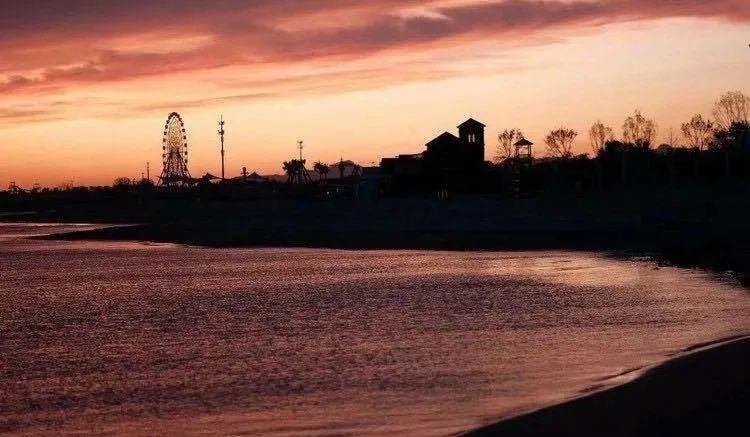 秦皇岛赶海拾贝地址免费,北海赶海挖螃蟹方法