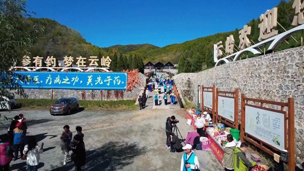 枫姿正好共赴一场云岭之约