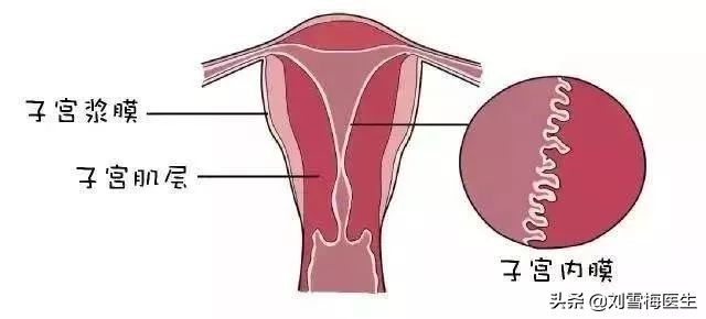 内膜薄了怀孕会怎么样,内膜薄怀孕了有什么风险