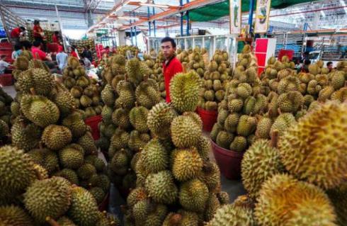泰国榴莲自助餐厅,泰国最高楼榴莲自助餐厅