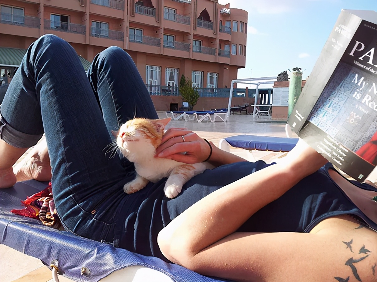 卡通猫咪微笑图片,微笑的猫咪表情包