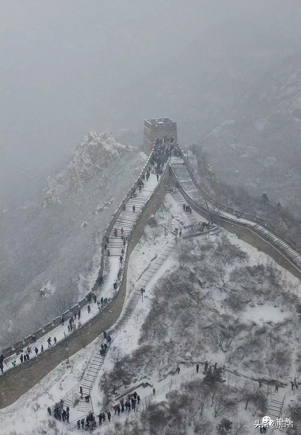 北京迎初雪9只熊猫,北京喜迎初雪去北京动物园看熊猫