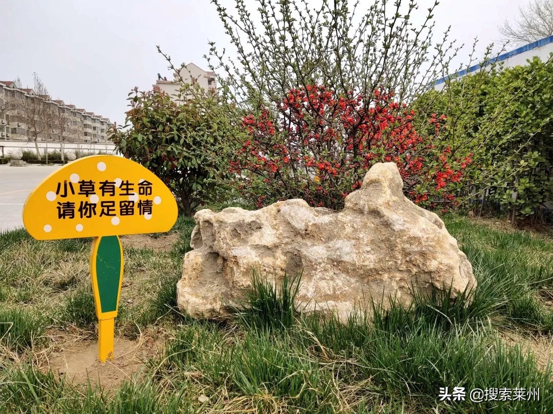 春满校园春暖花开,沙河镇中心小学校园