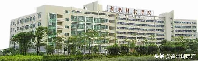 大局已定惠州横沥在哪呢,大局已定2020