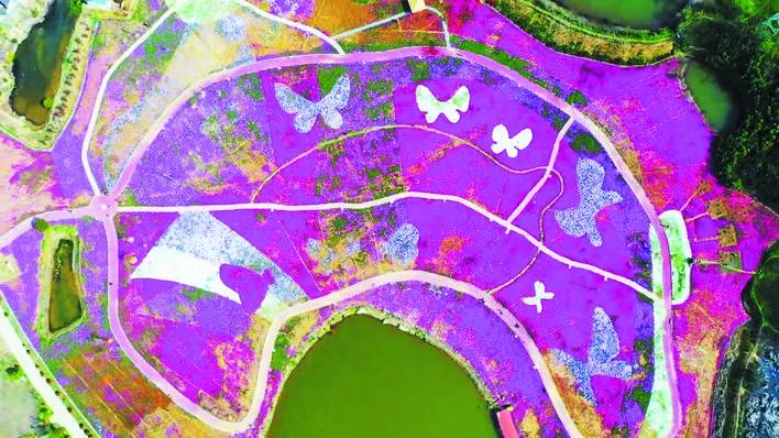 合肥被评为最宜居的城市,西安与合肥哪个宜居