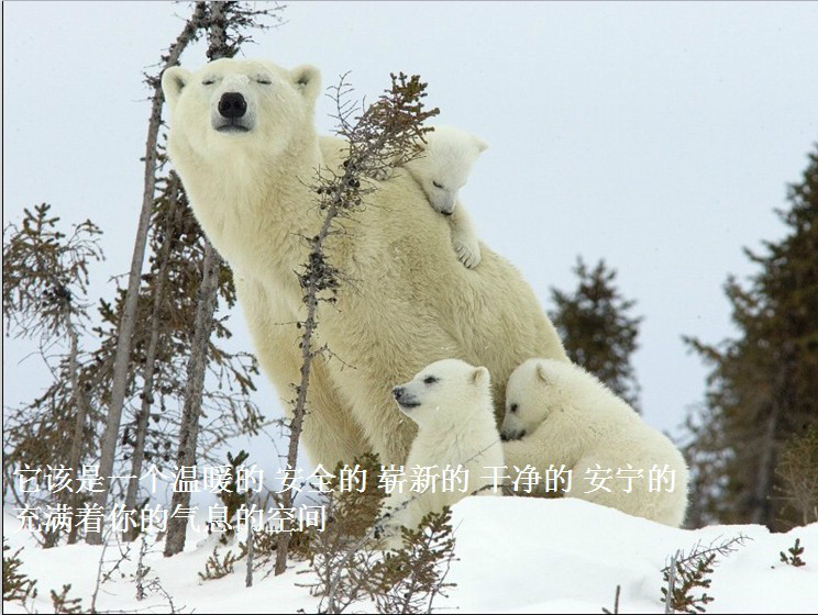 我只想说声爱你,只想再爱你一次