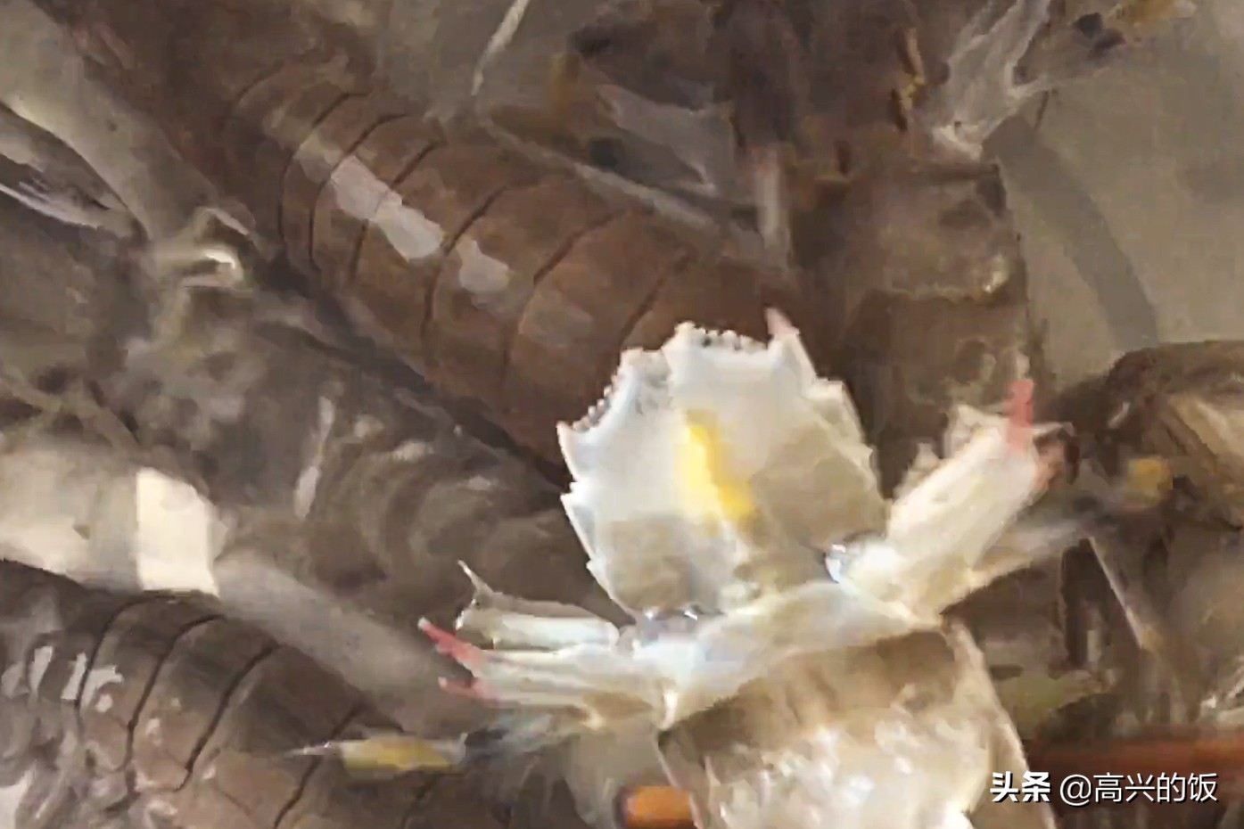 用筷子包皮皮虾怎么剥皮,皮皮虾的正确剥法用筷子