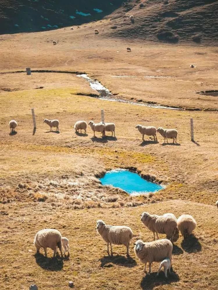 这座低调的小城,凭什么跻身云南6大国家历史文化名城之列?