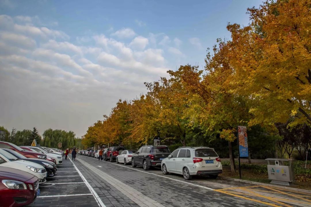 稻香湖秋天,海淀稻香