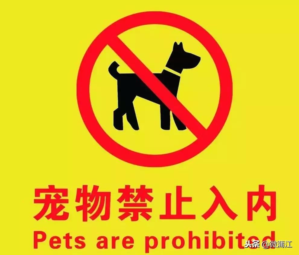 成雅铁路最新运行时刻表,成雅铁路运行时间