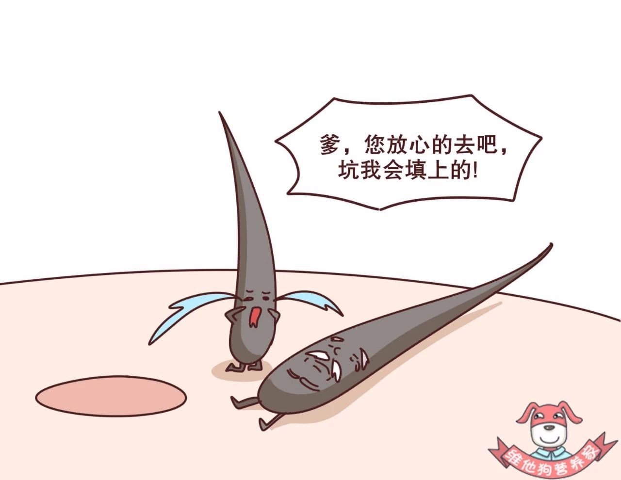 史上最强防脱发指南,脱发严重这个防脱发妙招很好用