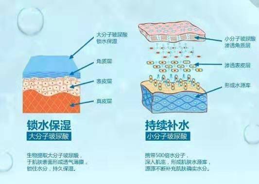 你了解玻尿酸嘛!知道它的作用嘛
