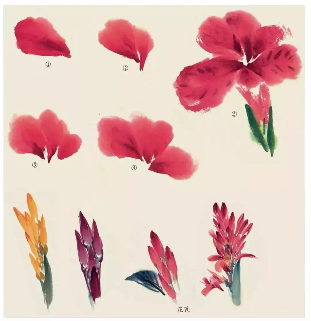国画团扇花卉画法,国画中常见花卉的画法