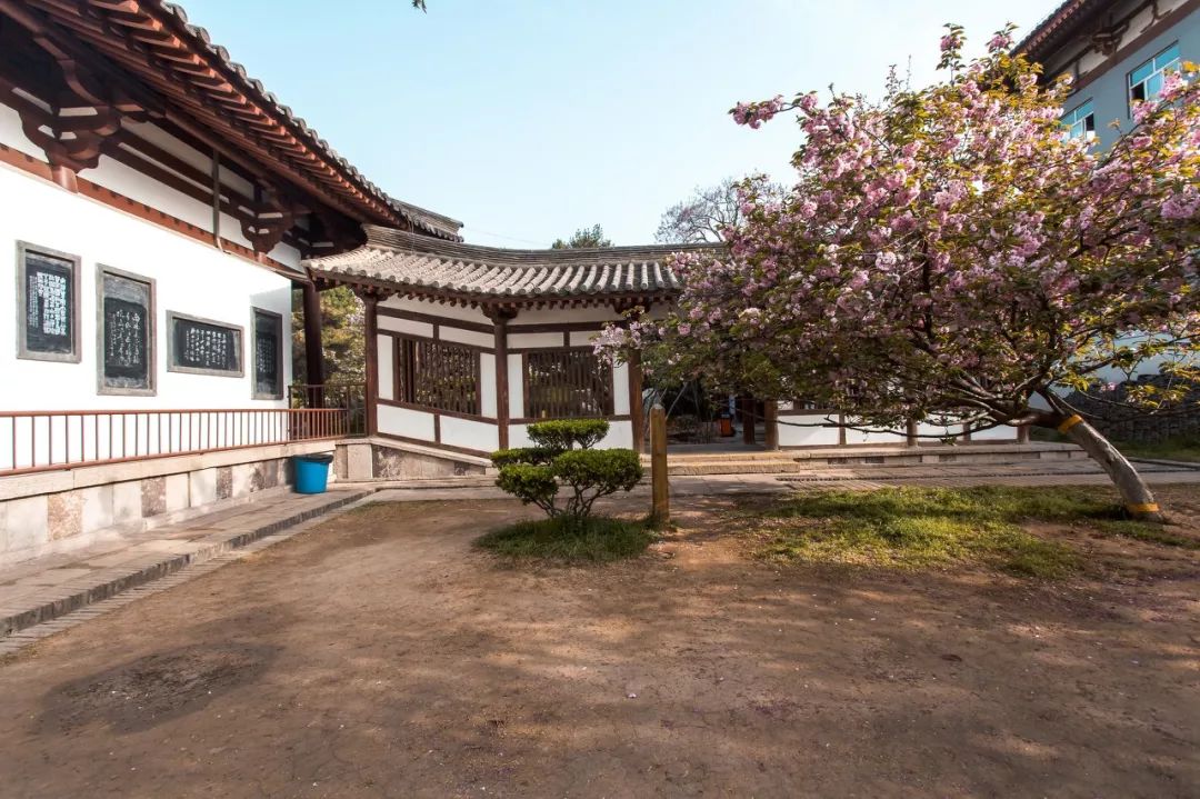 西安文化之旅旅游攻略,去西安玩应该注意什么