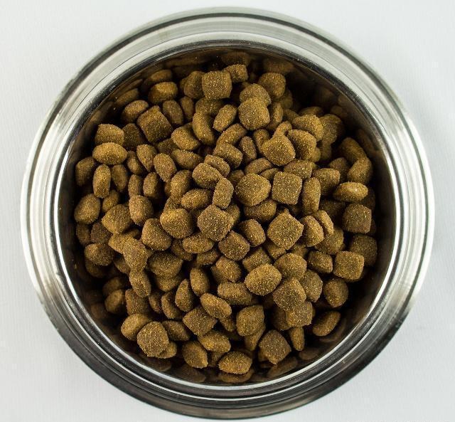 泰迪为什么这么难养,泰迪为什么这么多人养