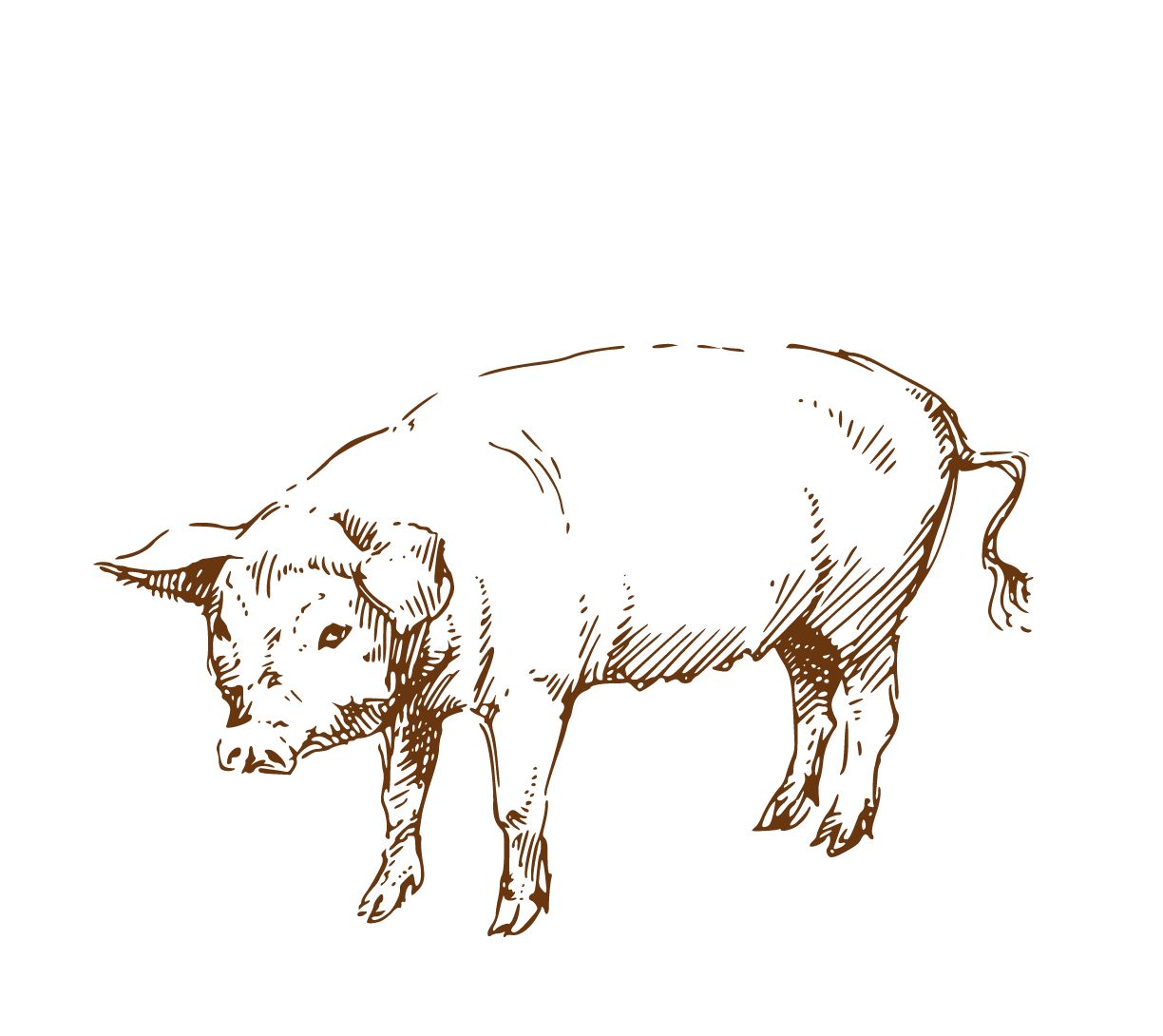 鼠年民间传说故事,关于春节传说故事习俗