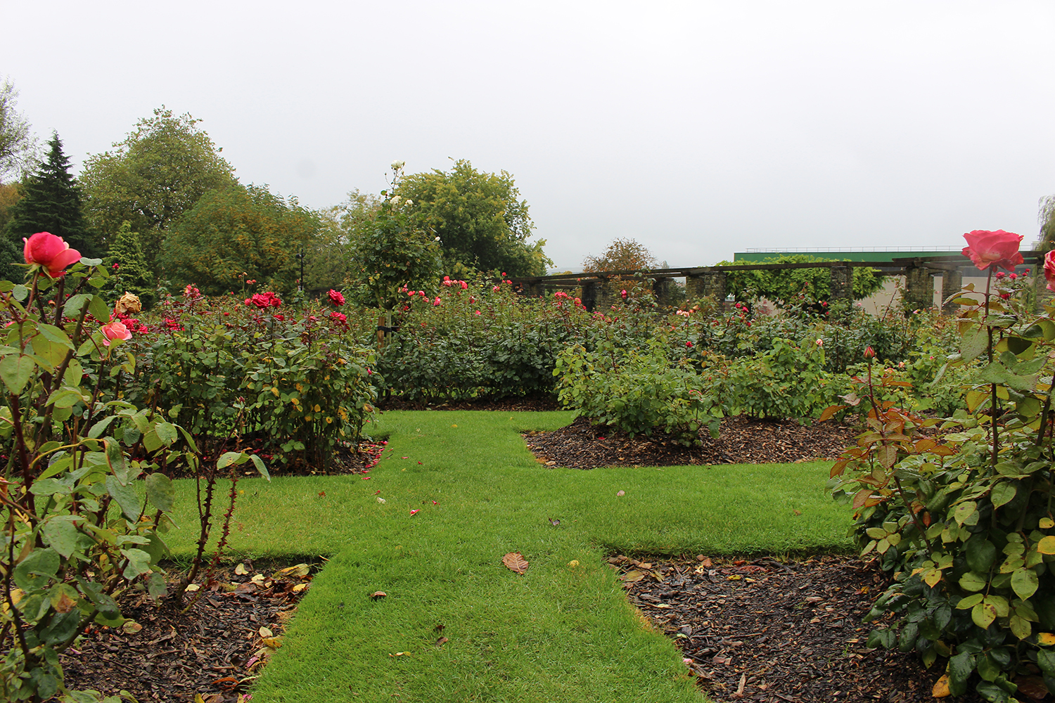 世界前十的音乐学院,世界十大顶级音乐学院