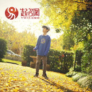 有诗意又儒雅的男孩名字,清冷孤傲男生名字二字