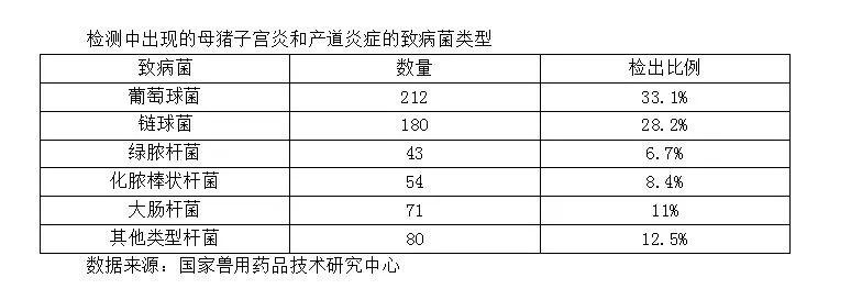 母猪产后有炎症的表现,母猪产后炎症的表现