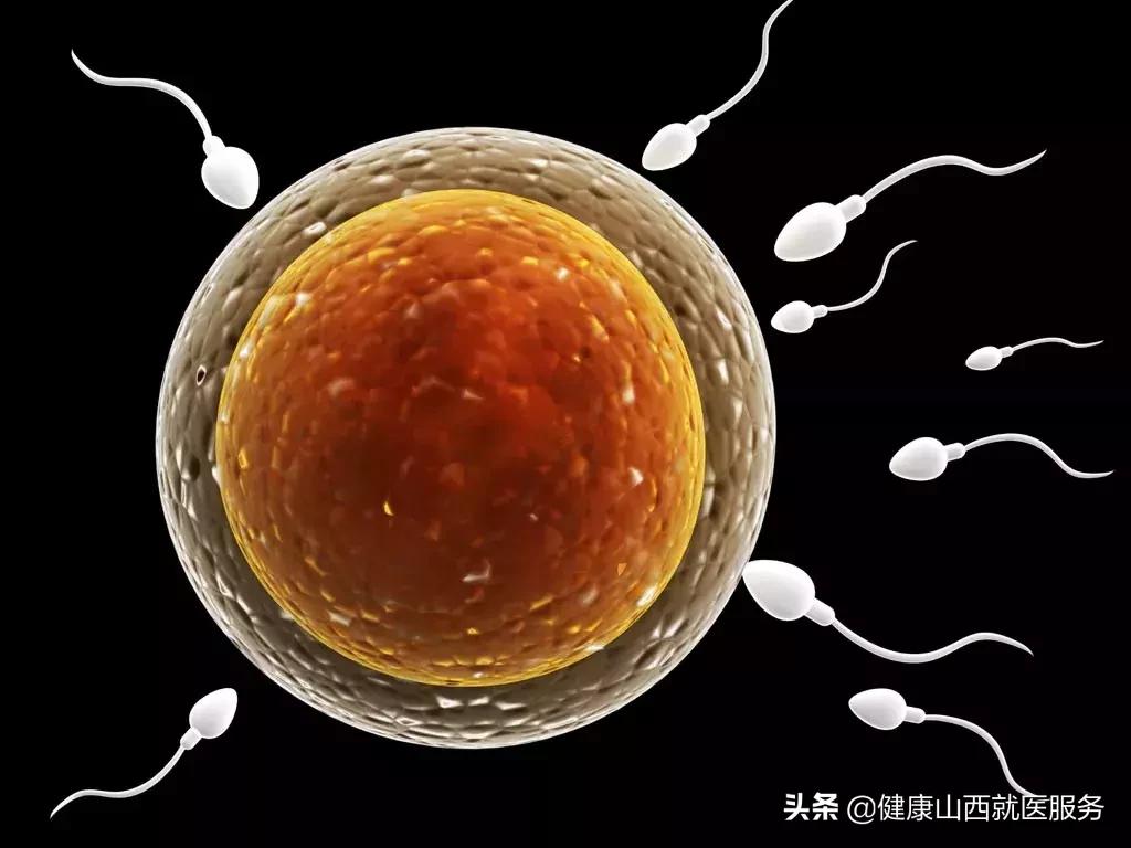 精子死精成活率低应怎么调理,精子是活的还是死的怎么判别