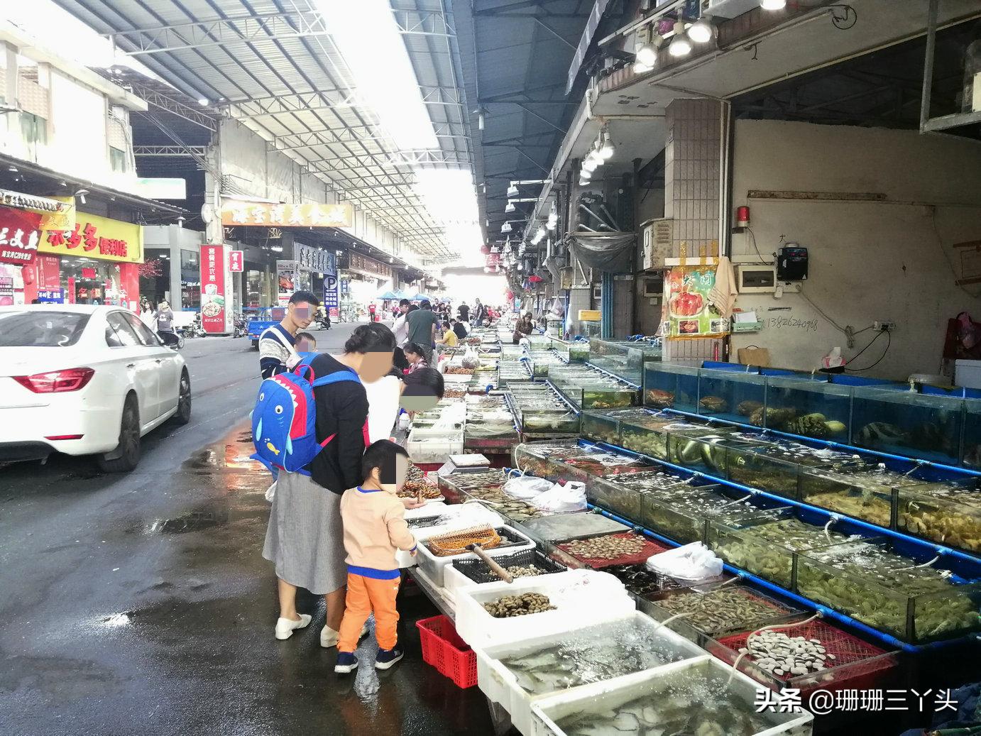 广州最优惠的海鲜市场,广州生蚝批发送货上门