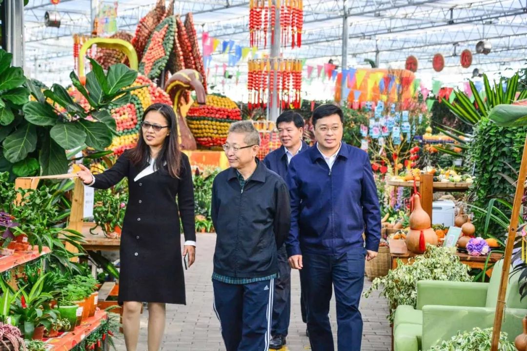 中农富玉大事记,中农富玉未来发展趋势