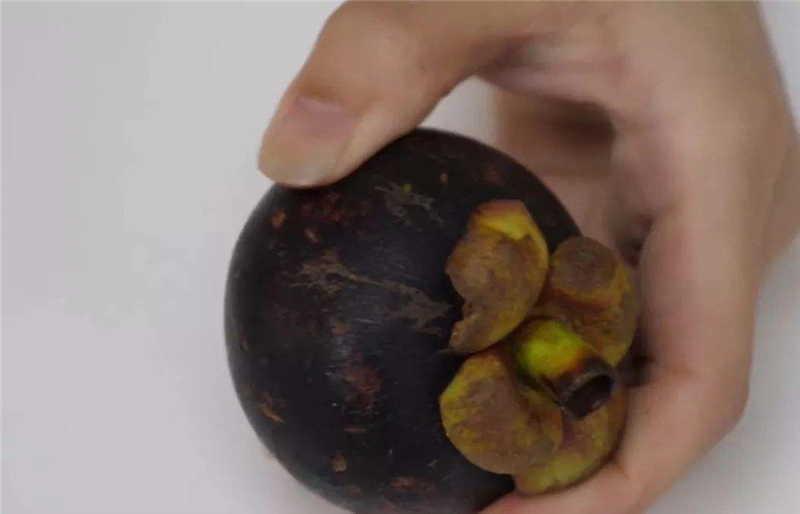 山竹是买大果还是小果好,山竹怎么挑又大又甜没有烂的