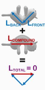 猫为什么在空中可以调整身体,猫为什么可以在空中自由翻转