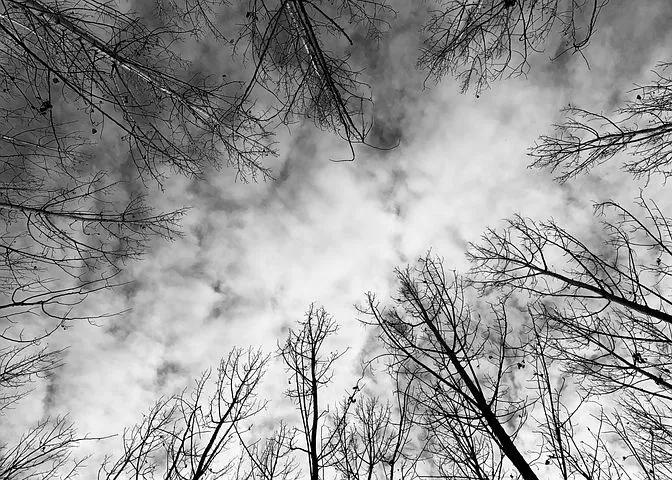 难忘一家人的视频,难忘的一家人回忆录