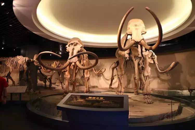 黑龙江伊春市最近诈骗案件,黑龙江伊春诈骗案