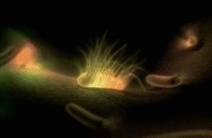 厕所堵住请师傅多少钱,厕所下水道堵了叫人疏通多少钱