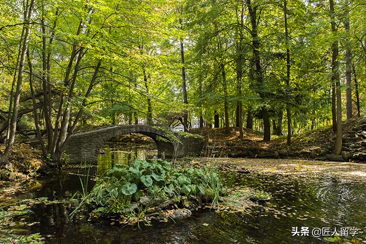 多伦多大学哪个校区适合你？快速了解每一个独特之处