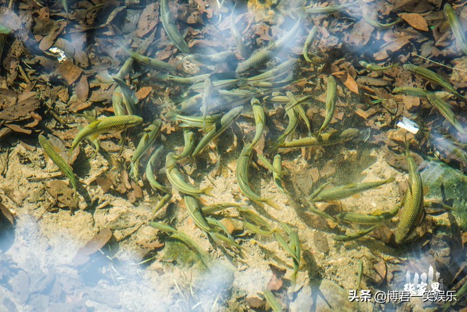 张家界团队游玩路线攻略图,张家界三日游详细攻略