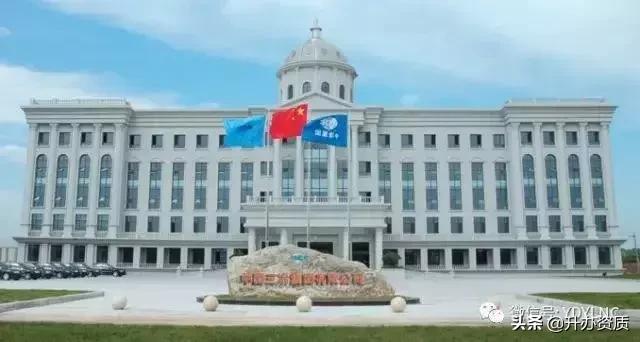 中国冶金公司现状,中国冶金公司近况