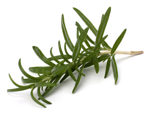 脸上总挤出白色分泌物还很臭,脸上挤出白色分泌物而且还有血